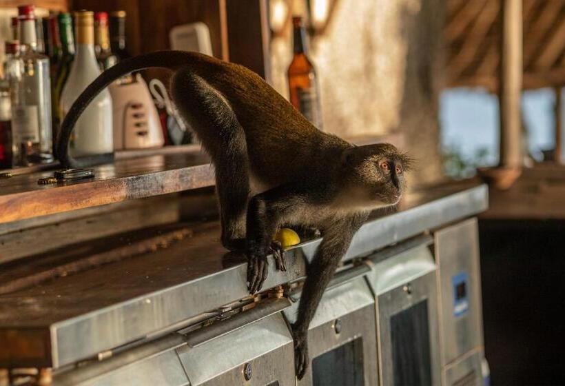 Resort Fumba Beach Lodge