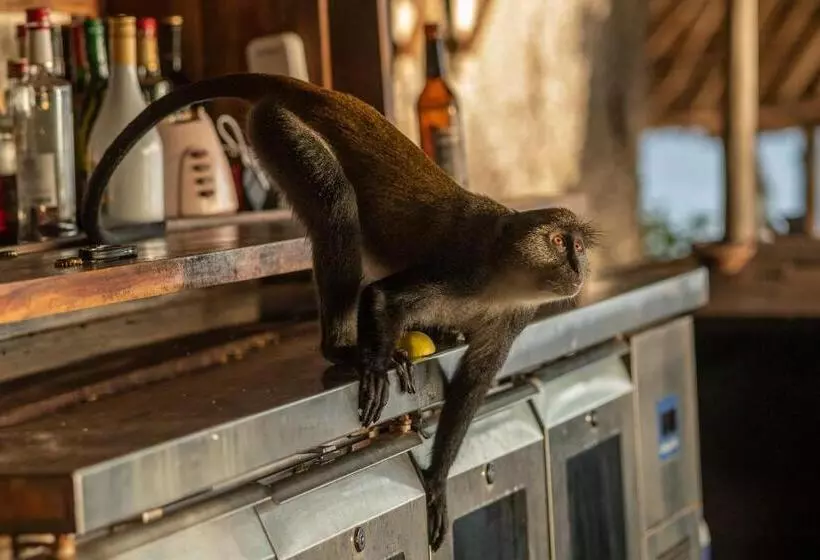 Lomakeskus Fumba Beach Lodge