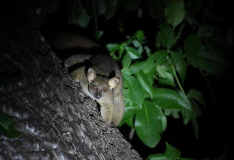 Resort Fumba Beach Lodge