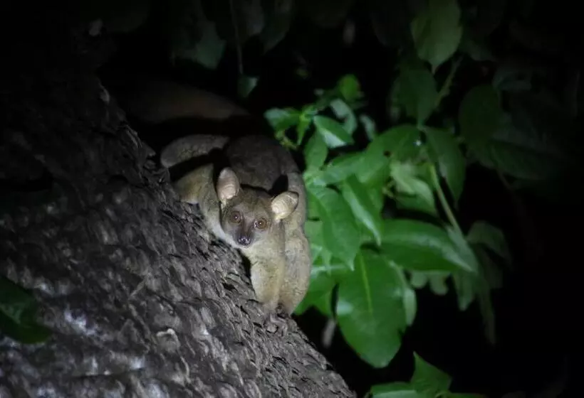 Lomakeskus Fumba Beach Lodge