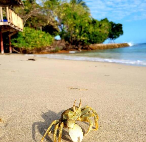 Resort Fumba Beach Lodge