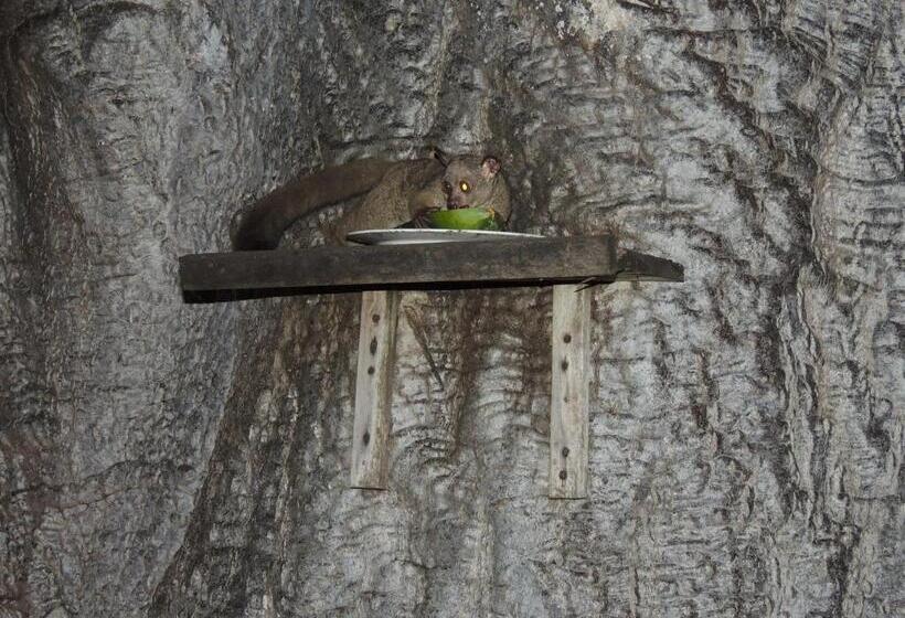 Resort Fumba Beach Lodge