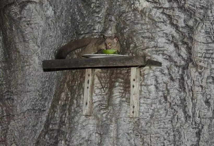 Lomakeskus Fumba Beach Lodge