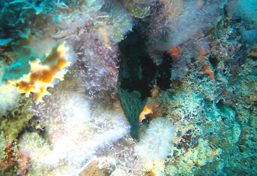 Resort Fumba Beach Lodge