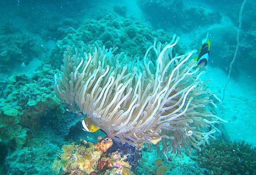 Resort Fumba Beach Lodge