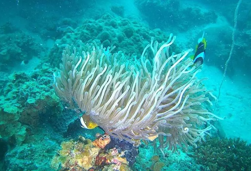 Lomakeskus Fumba Beach Lodge