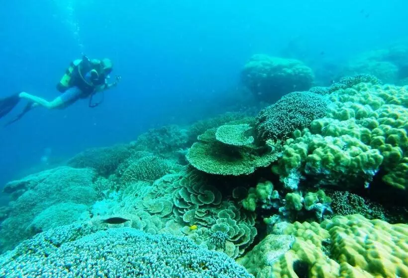 Lomakeskus Fumba Beach Lodge