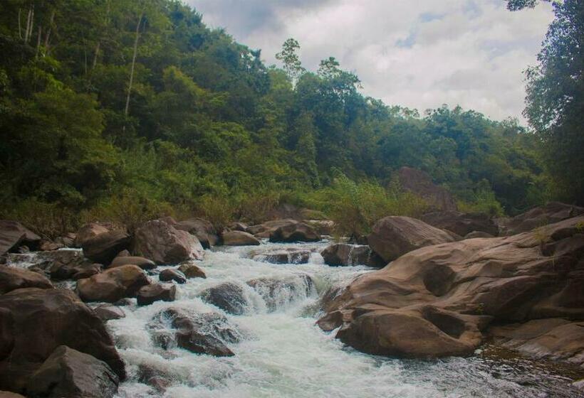 Resort Otel Jungle River