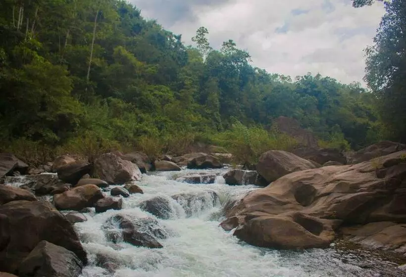 استراحتگاه Jungle River