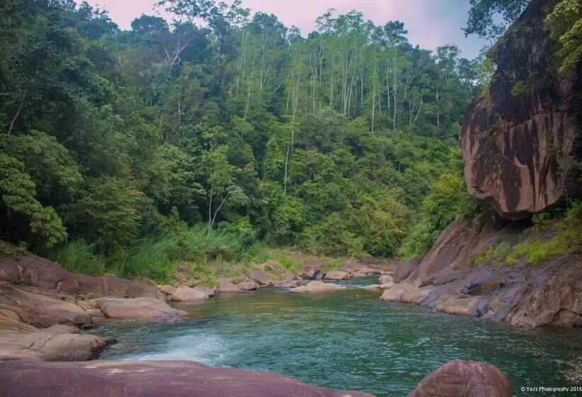 استراحتگاه Jungle River