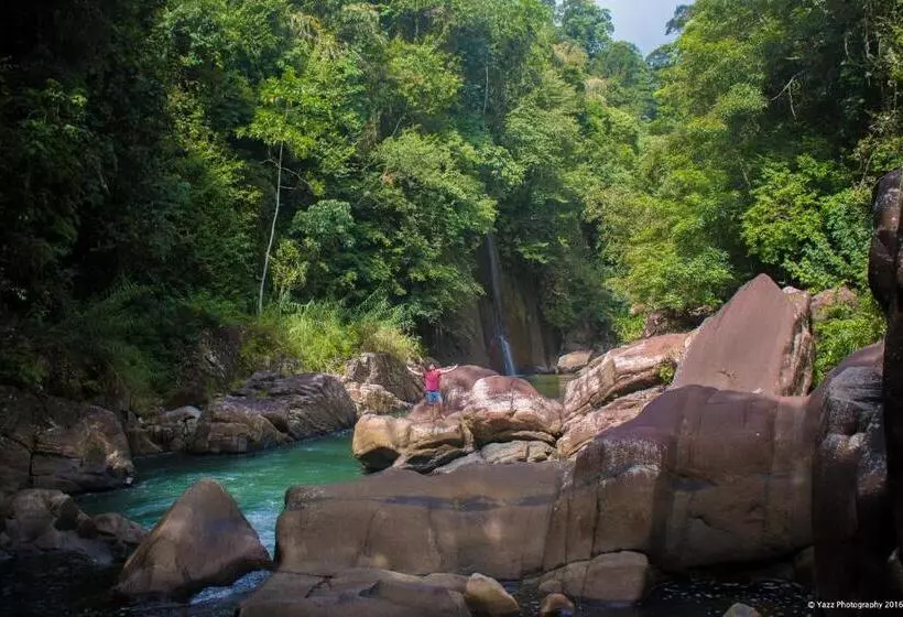 استراحتگاه Jungle River