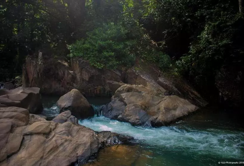 استراحتگاه Jungle River