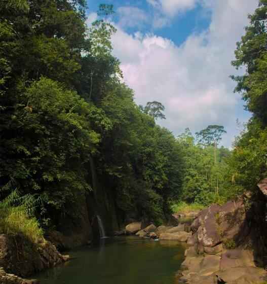 Resort Otel Jungle River