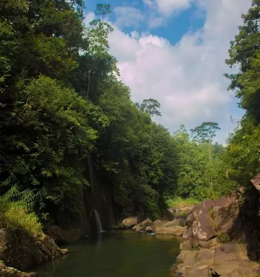 استراحتگاه Jungle River