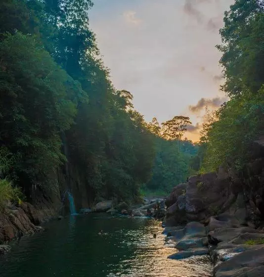 استراحتگاه Jungle River