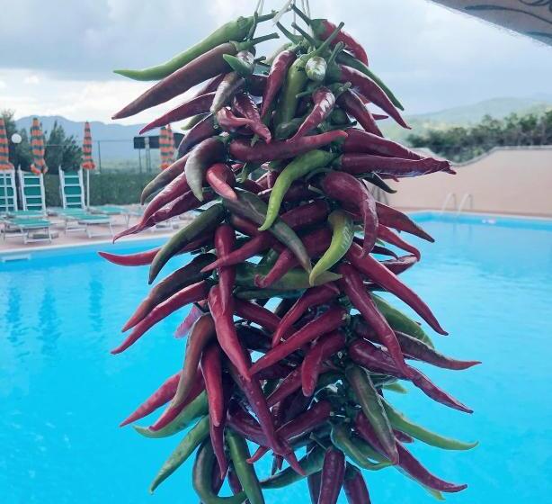 Rifugio Del Cavaliere