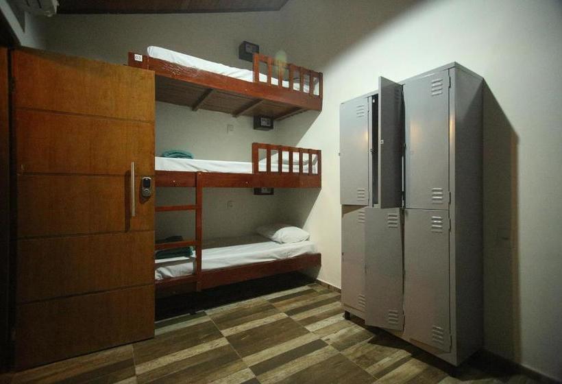 Savana Hostel