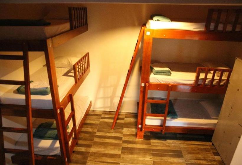 Savana Hostel