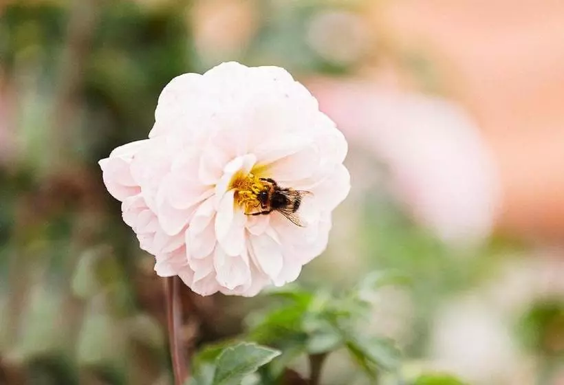 Retkeilymaja Gasthaus Hummel