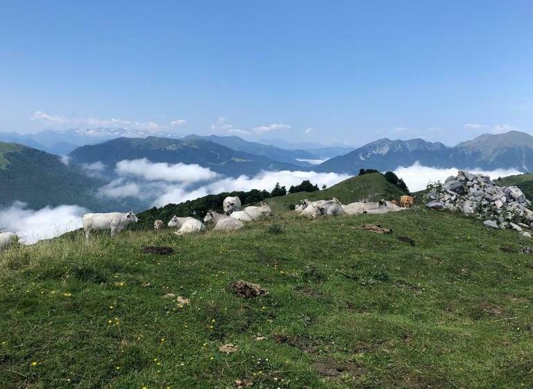 צימר Le Balcon Commingeois