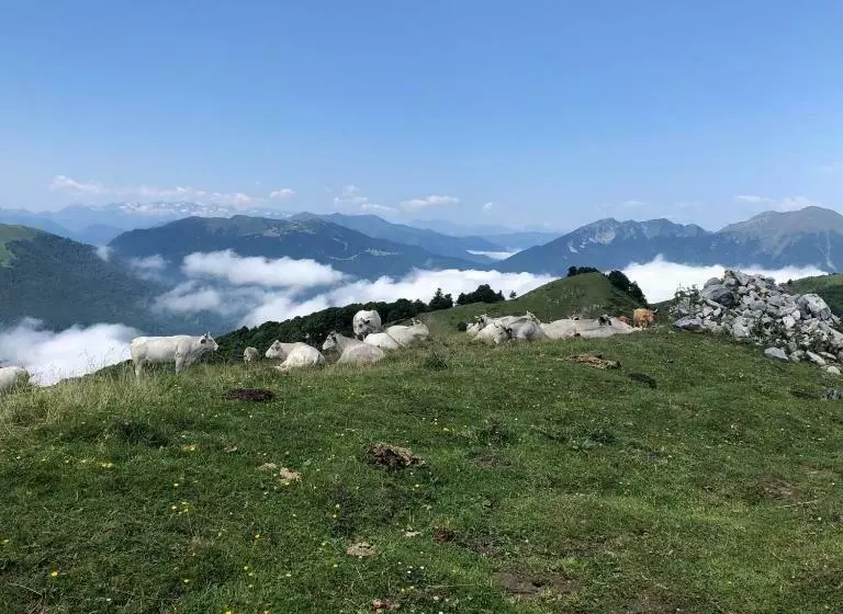 Aamiaismajoitus (B&B) Le Balcon Commingeois