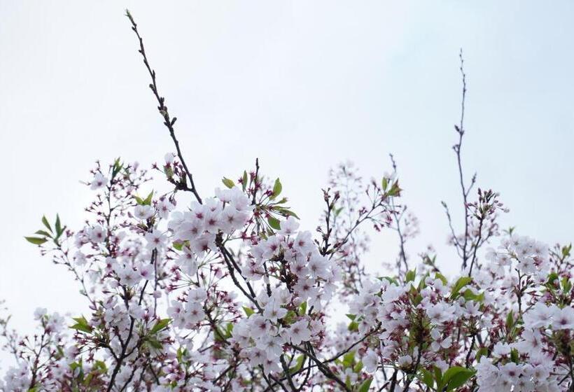 Japanese House Osaka Sennan Hotel(大阪泉南酒店和築)