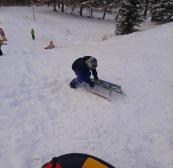 פנסיון садиба в горах крістіан