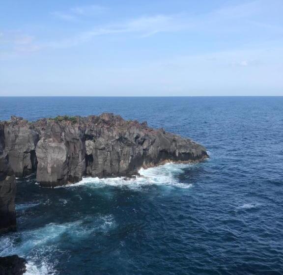 Pensione 伊道荘園