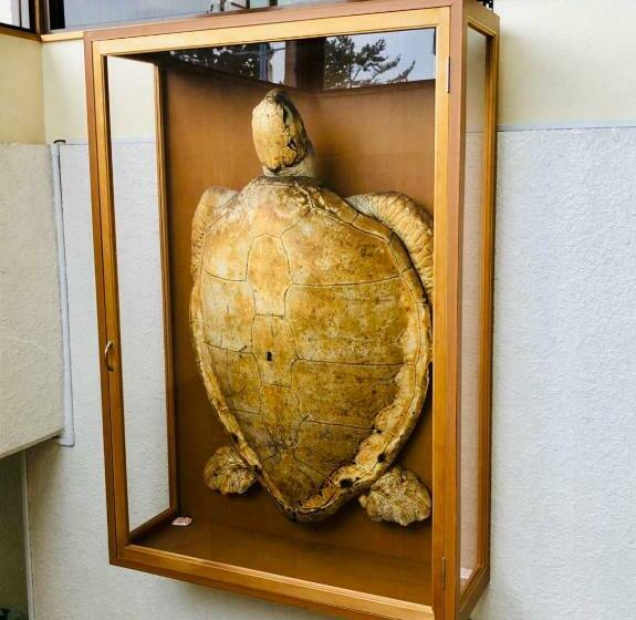 Pension (Hôtel basse catégorie) タカマス民宿