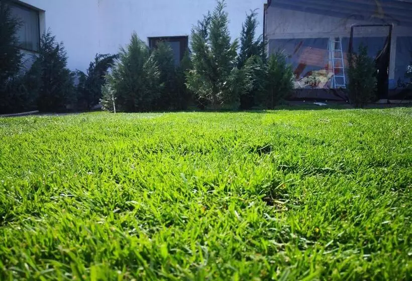 ペンション Dnt House & Spa