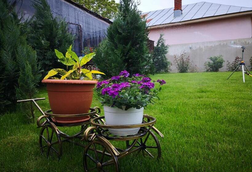 پانسیون Dnt House & Spa