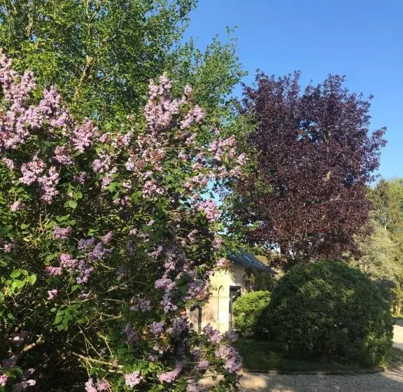 Majatalo Le Baptistère   Adults Only