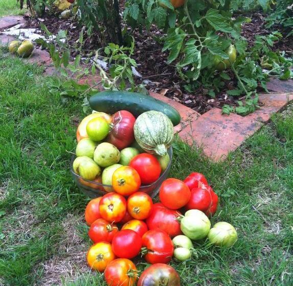 פנסיון Le Colombier De Hanches   Teritoria