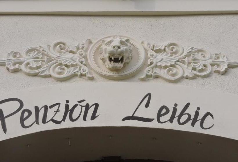بنسيون Penzión Leibic