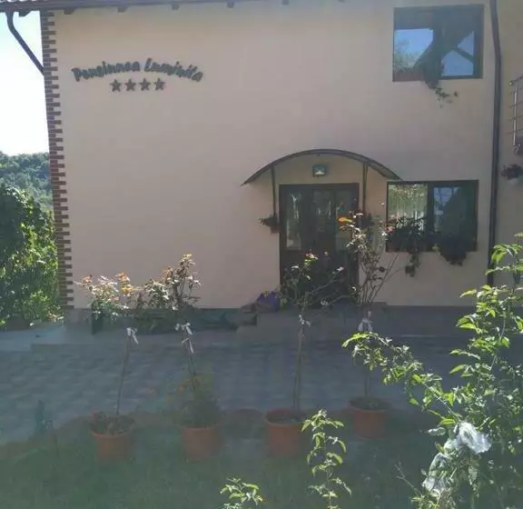 Pensiunea Luminita