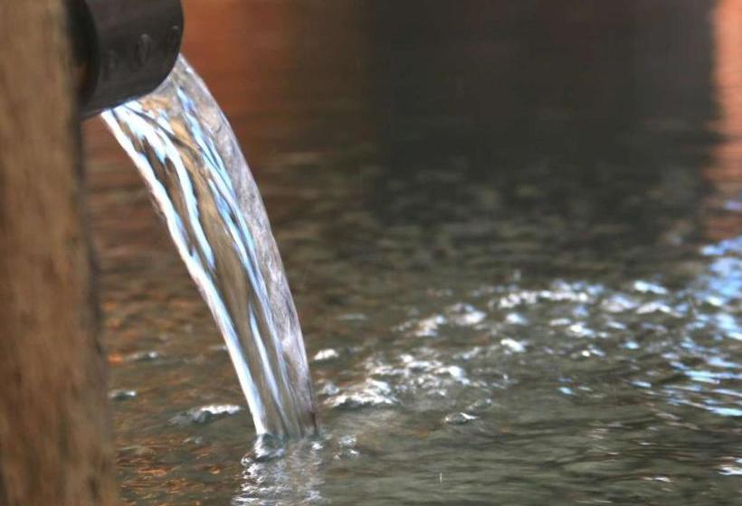 ريوكان 布引観音温泉