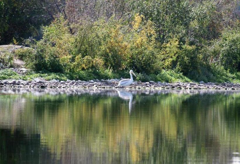 Woodlands Fishin Resort