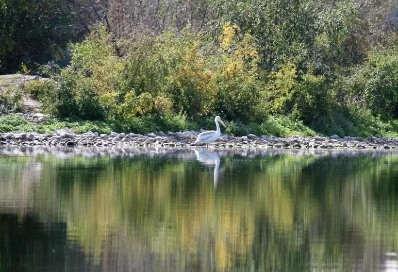 Woodlands Fishin Resort