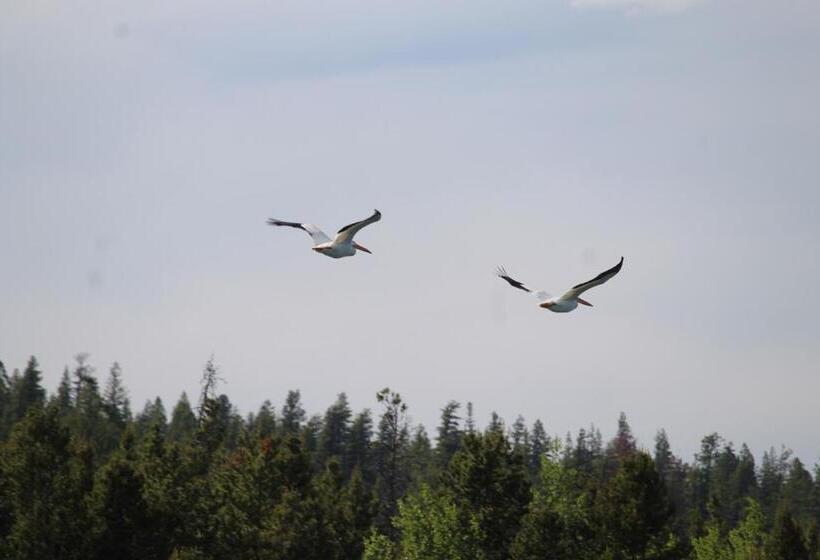 Woodlands Fishin Resort