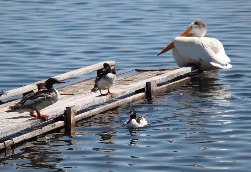 Woodlands Fishin Resort