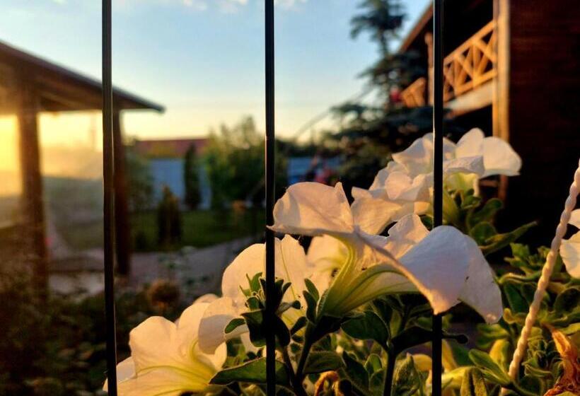 Общежитие удачное место