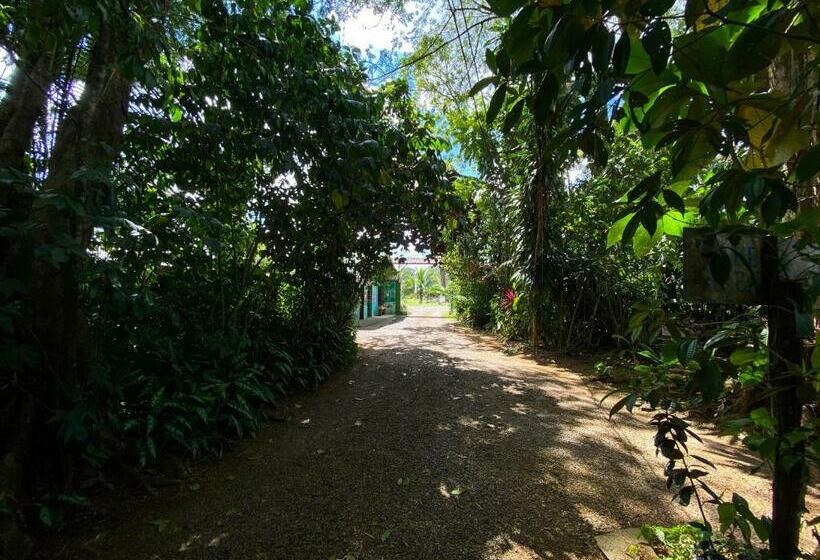 ベッドアンドブレックファースト Andrea Cristina