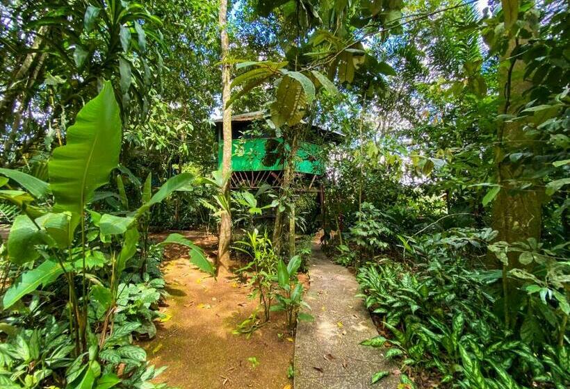 ベッドアンドブレックファースト Andrea Cristina