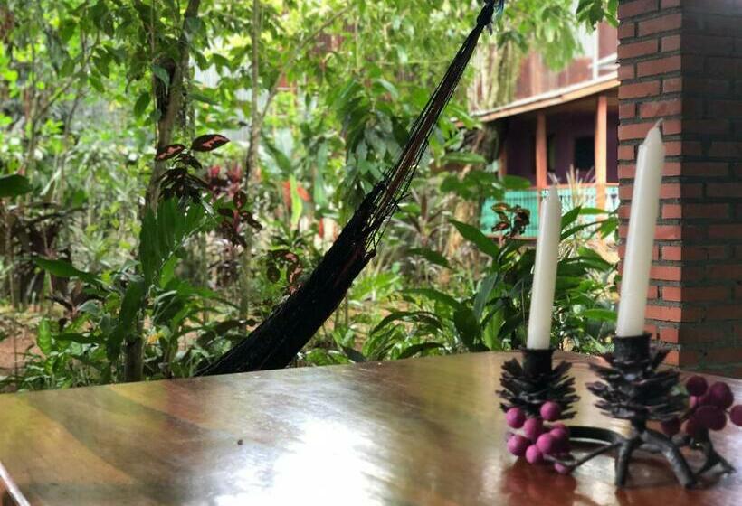 ベッドアンドブレックファースト Andrea Cristina