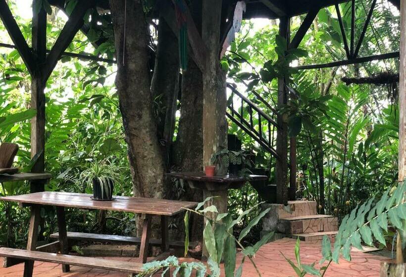 ベッドアンドブレックファースト Andrea Cristina