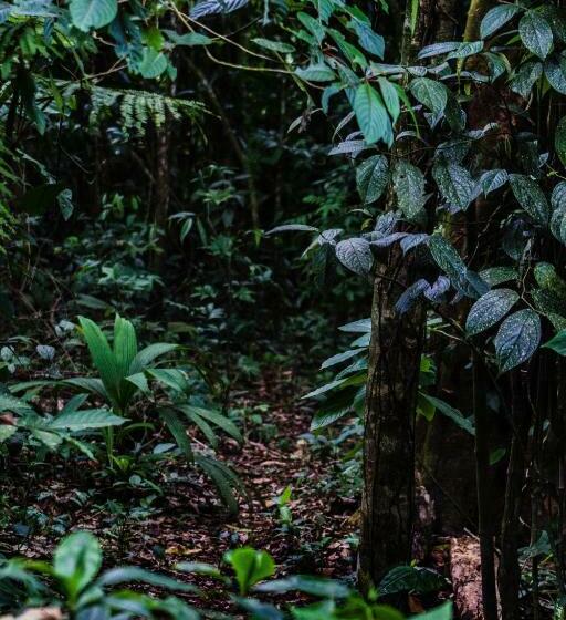 ベッドアンドブレックファースト Andrea Cristina