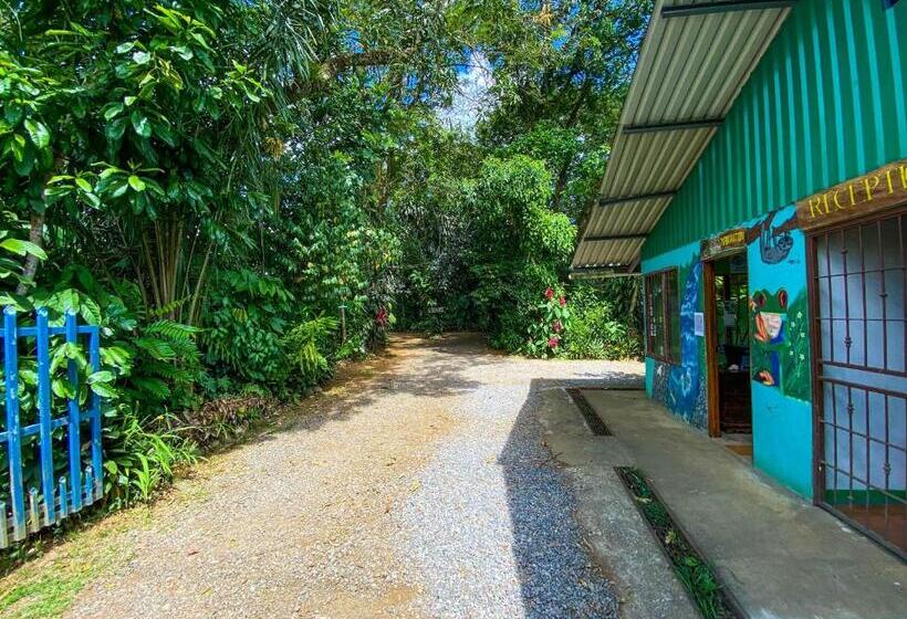 ベッドアンドブレックファースト Andrea Cristina