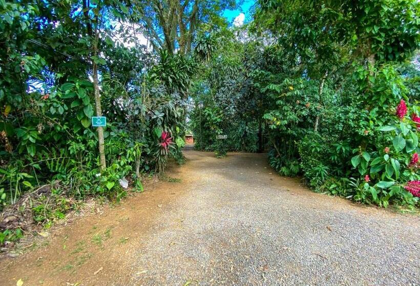 ベッドアンドブレックファースト Andrea Cristina