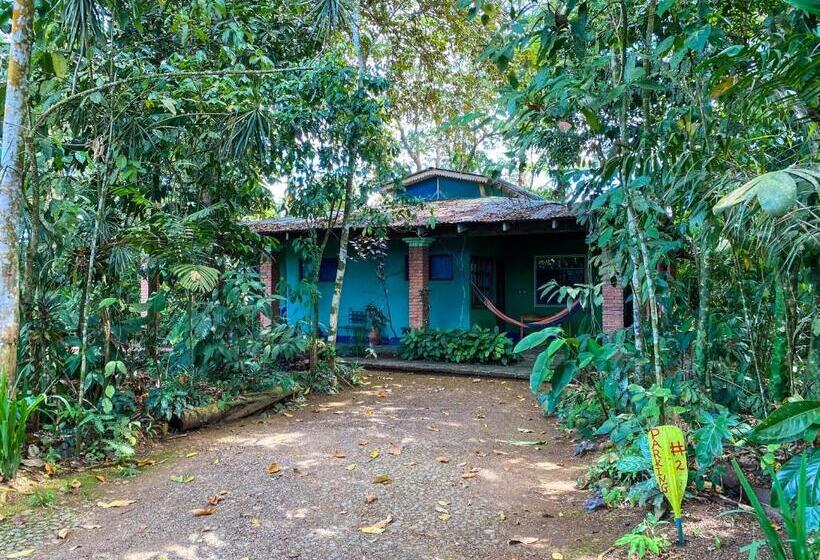 ベッドアンドブレックファースト Andrea Cristina