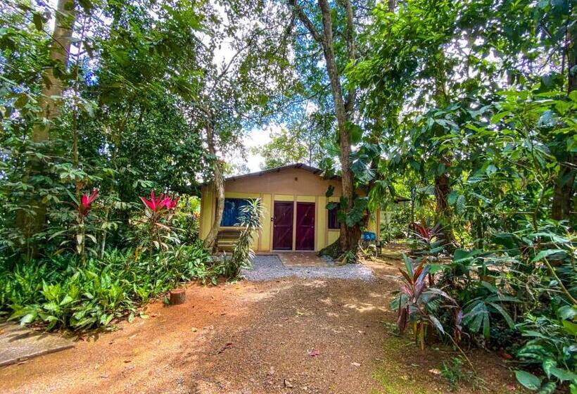 ベッドアンドブレックファースト Andrea Cristina